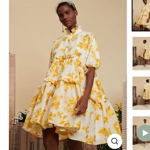 Sister Jane dress. DREAM Manhattan Floral Jacquard Dress